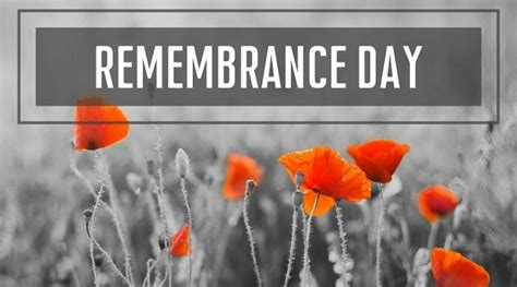 the national chanel about remembrance day|Remembrance Sunday 2024 .